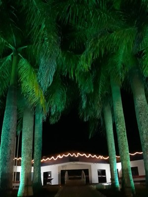 Iluminação natalina - 02