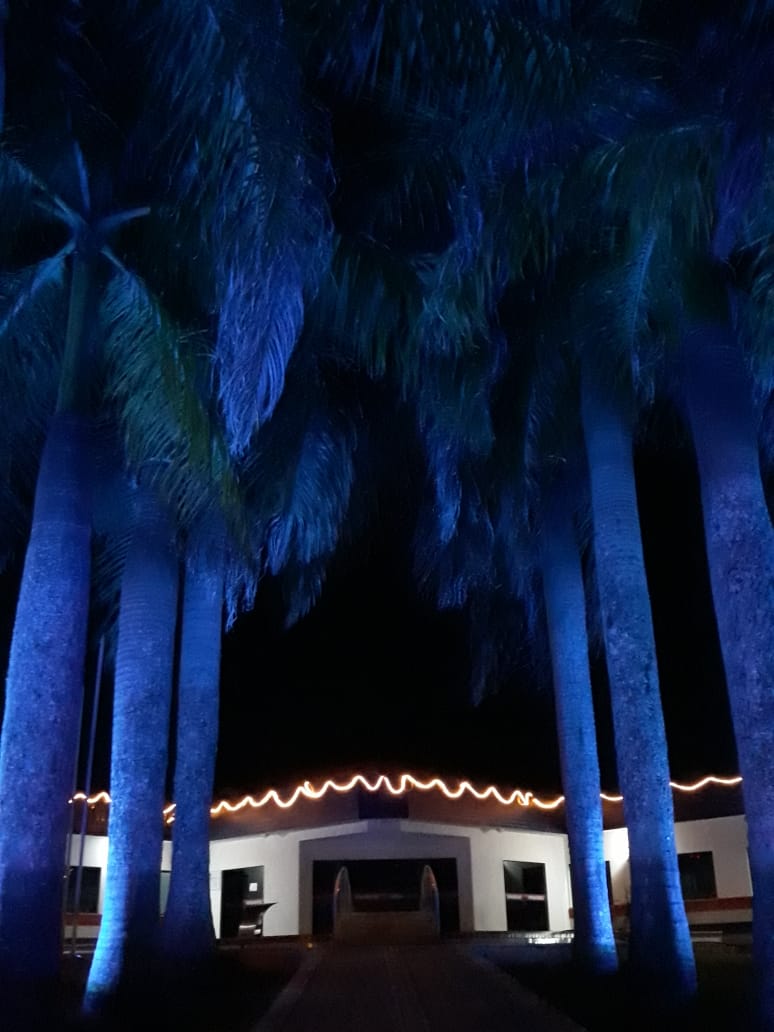 Iluminação natalina - 03